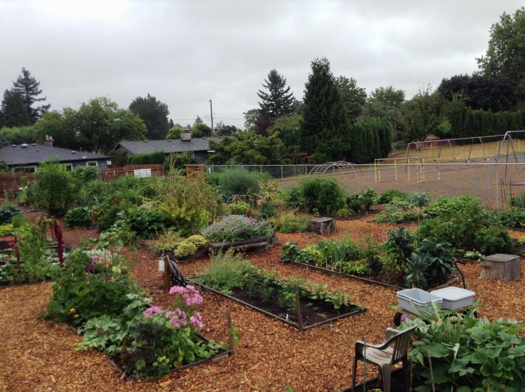 Photo of the Campbell Community Garden